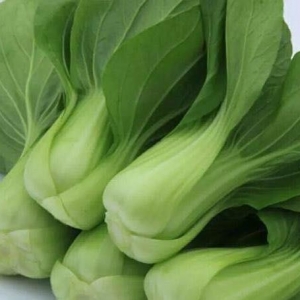 吃小油菜有哪些好处 哪些人不适合吃油菜