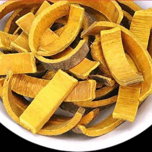 关黄柏补肾壮阳的功效 关黄柏功效作用一览