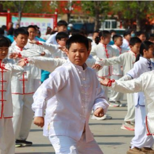 “传承经典 武动奈曼”中华武术展演活动成功举办