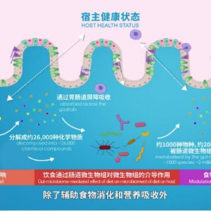APOL2与特定细菌建立精细化合作助力维持肠道免疫稳定状态